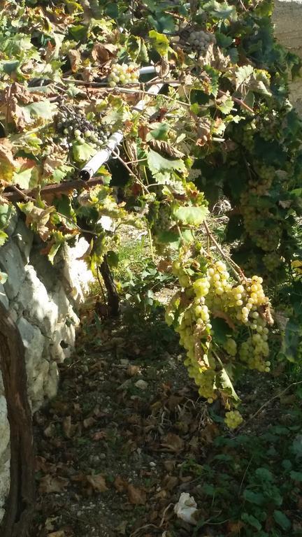 Sole E Fiori Di Sicilia Valderice Exterior foto