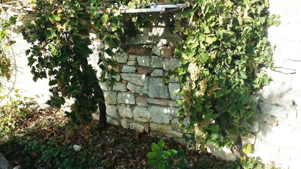 Sole E Fiori Di Sicilia Valderice Exterior foto